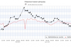 aaltopoiju